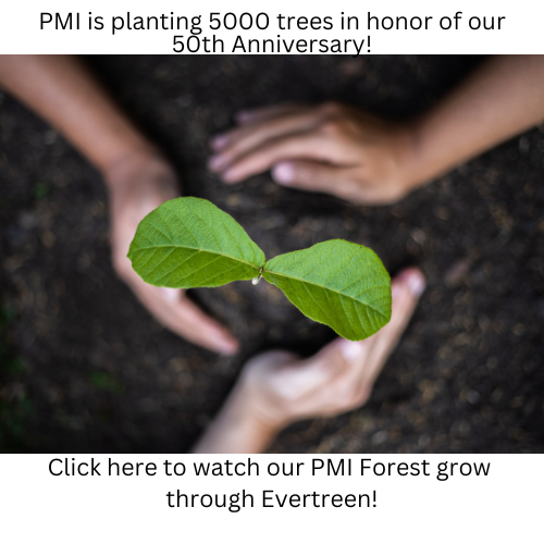 Tree-Planting.png