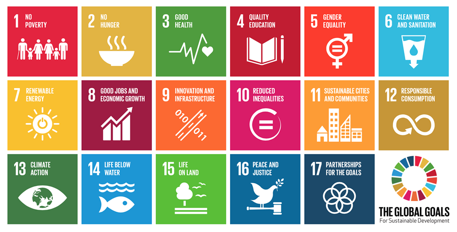 social-impact-the-global-goals-900x458.png